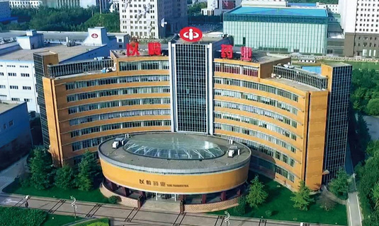 祝賀顆粒物過(guò)濾效率儀中標石家莊以嶺藥業(yè)！